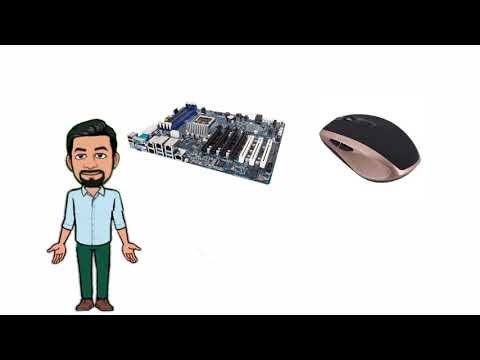 ¿Cómo se llama a la personas que intervienen y que utilizan un sistema informático?